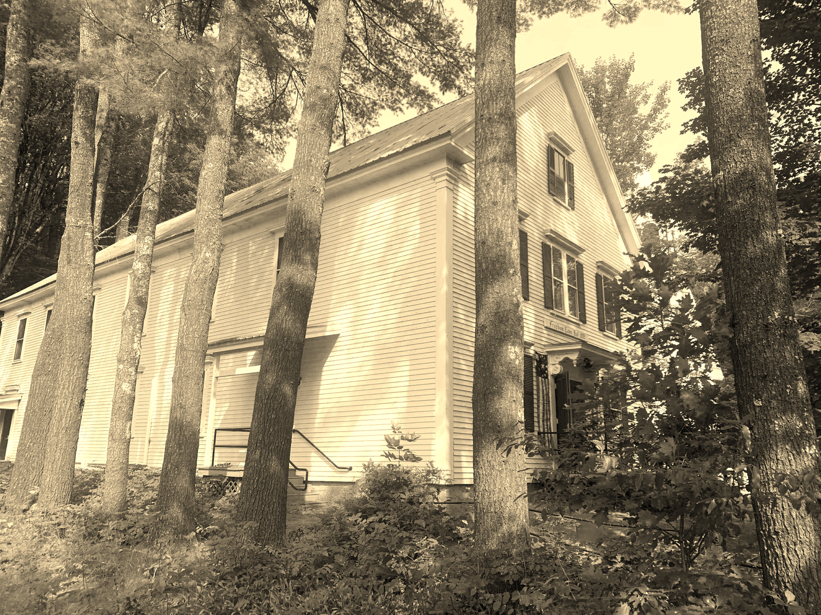 The Meaning of Freedom